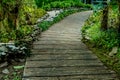 Concrete Pathway in the park Royalty Free Stock Photo