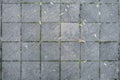 Concrete pavement on the public pave way. Big square tiles. Urban pave with moss Royalty Free Stock Photo