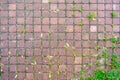 Concrete pavement on public pave way. Red square tiles. Urban pave with grass Royalty Free Stock Photo