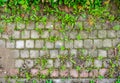 Concrete pavement on public pave way. Small square tiles. Urban pave with grass Royalty Free Stock Photo