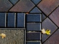 Concrete paving texture in gray concrete with yellow leaves Royalty Free Stock Photo