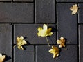 concrete paving texture in gray concrete with yellow leaves Royalty Free Stock Photo