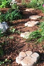 Concrete Paw Print Path in the Garden