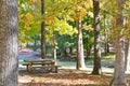 Concrete picnic table in fall