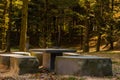 Concrete picnic table in public park