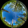 Concrete pillars of an abandoned construction site shot through a wide-angle circular fisheye lens