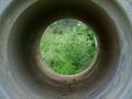 Concrete pipe center circle green nature