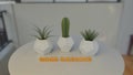 Concrete planters and good morning text 3D render