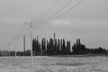 Concrete poles in line and in background multiple coal fossil fuel power plant