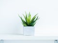 Concrete pot cubic shape or geometric cement planter for cactus and succulent plants Royalty Free Stock Photo