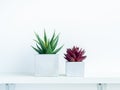 Concrete pot cubic shape or geometric cement planter for cactus and succulent plants Royalty Free Stock Photo