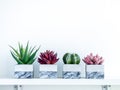 Concrete pot cubic shape or geometric cement planter for cactus and succulent plants Royalty Free Stock Photo