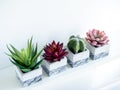 Concrete pot cubic shape or geometric cement planter for cactus and succulent plants Royalty Free Stock Photo