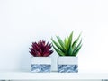 Concrete pot cubic shape or geometric cement planter for cactus and succulent plants Royalty Free Stock Photo