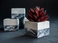 Concrete pot cubic shape or geometric cement planter for cactus and succulent plants Royalty Free Stock Photo