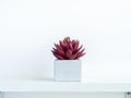 Concrete pot cubic shape or geometric cement planter for cactus and succulent plants Royalty Free Stock Photo