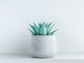 Concrete pot. Geometric cement planter