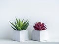 Concrete pot. Geometric cement planter