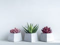 Concrete pot. Geometric cement planter