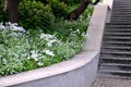 concrete retaining wall at the large staircase in the park the flowerbed area is planted with rich greenery of perennials granite