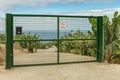 Concrete road - entry to a banana plantation. A green metal gate closes the driveway. Huge leaves of plants and green clusters of