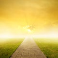 Concrete road in Grass fields and Sunset