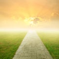 Concrete road in Grass fields and Sunset Royalty Free Stock Photo