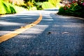 Concrete road heading straight ahead and natural background Royalty Free Stock Photo