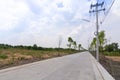 Concrete road with plant and lighing pole