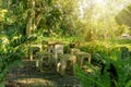 Concrete seats on brown pavement in green landscaped tropical garden