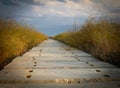 The road from concrete slabs stretching into the sky. Around grass Royalty Free Stock Photo