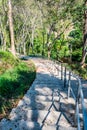 Concrete stair in national park Royalty Free Stock Photo