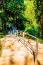 Concrete stair in national park Royalty Free Stock Photo