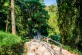 Concrete stair in national park Royalty Free Stock Photo