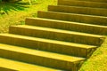 Concrete stair in the park Royalty Free Stock Photo