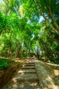 Concrete stair and trail in national park Royalty Free Stock Photo