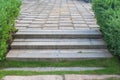 Concrete stair or walking path on green grass beside green bush.