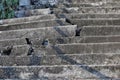 Concrete stairs, building, exterior, old and broken, dilapidated Royalty Free Stock Photo
