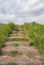 Concrete stairs overgrown with grass and weeds