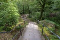 Concrete stairs with steel handrails in a dense forest, going down. Royalty Free Stock Photo