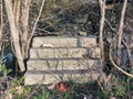 Concrete steps going to nowhere, ruins by river close to Bean Creek Garfield Park in Indianapolis Indiana USA.