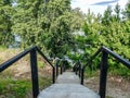 Concrete steps leading down to the beach, pond through the trees Royalty Free Stock Photo