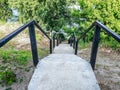 Concrete steps leading down to the beach, pond through the trees Royalty Free Stock Photo