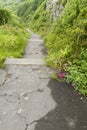 Concrete steps on an overgrown path. Royalty Free Stock Photo