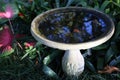 Concrete Stone Birdbath with Reflection on Water