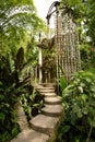 Concrete structure in the jungle