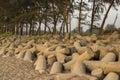 A Concrete tetrapods on a sandy beach on the background of trees and palms. tsunami barrier
