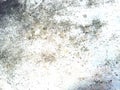Concrete texture background image. White lighting and texture. By kt studio