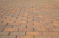 Concrete tile for garden paths. perspective view