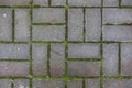 Concrete tile on the ground pavement path abstract pattern texture background with grass Royalty Free Stock Photo